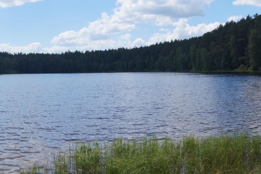 Domek Nad Jeziorem Kaszuby Max 6 Os Bieszkowice Exterior foto